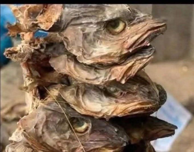 hope lee tweet media