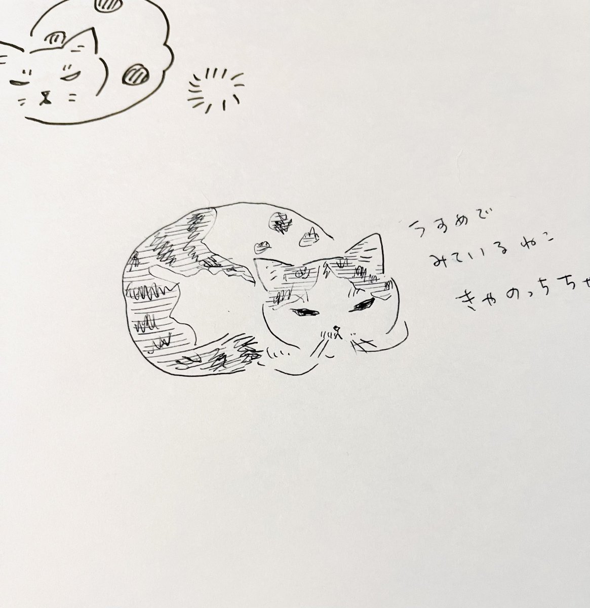 元祖ふとねこ堂 tweet media