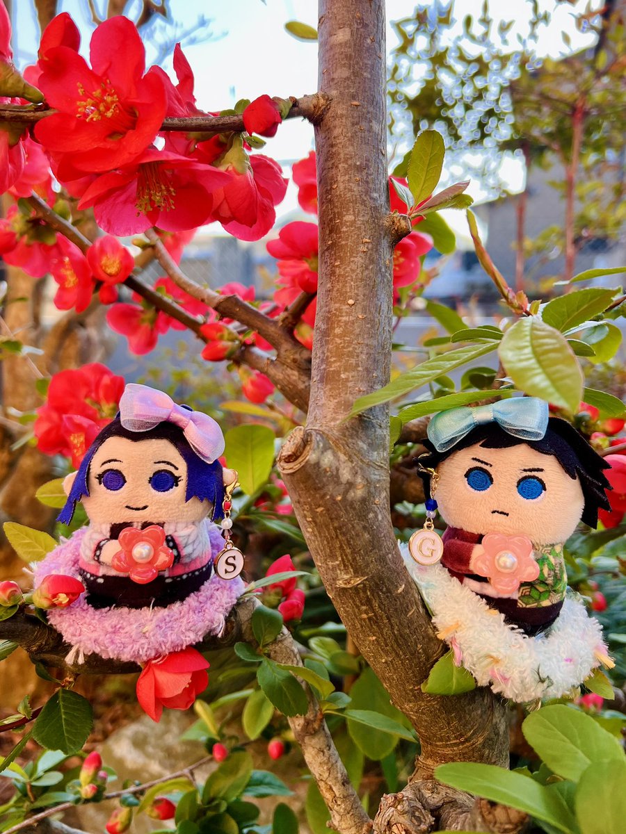 珈琳〜かりん〜🥼 tweet media