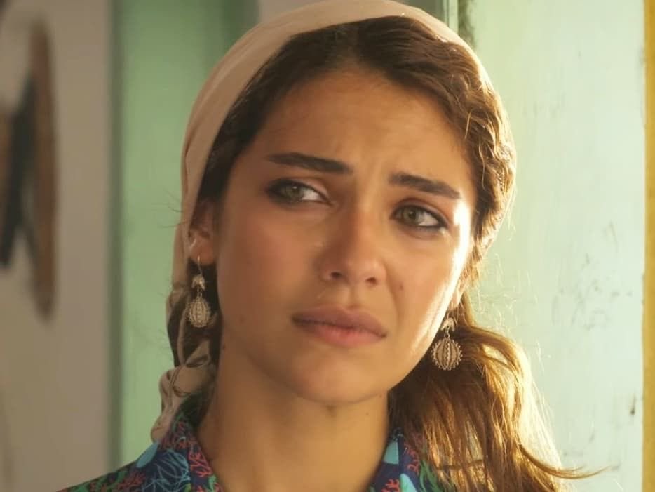 halefarchive tweet media