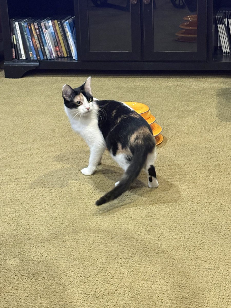 Fr. Joseph Krupp tweet media