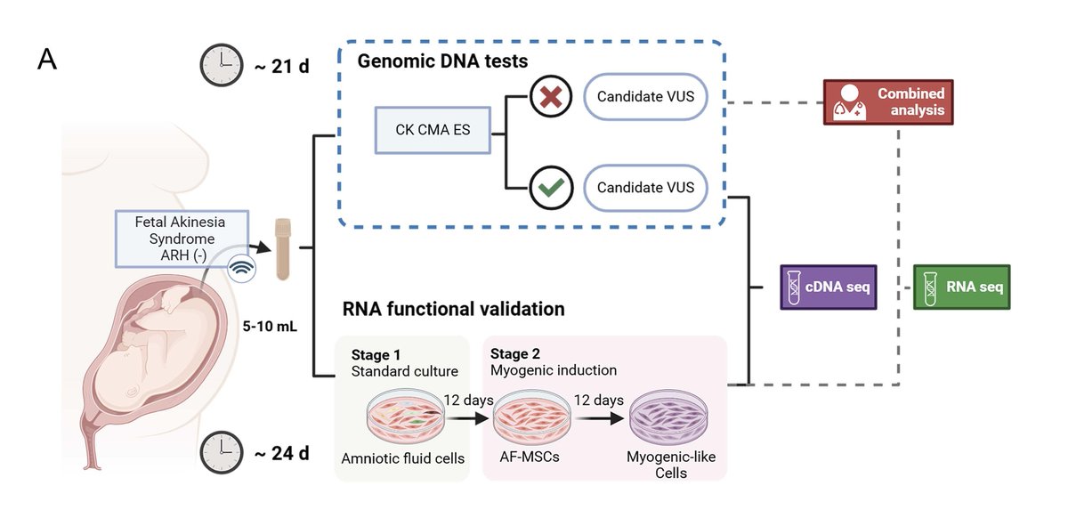 Genetics in Medicine tweet media