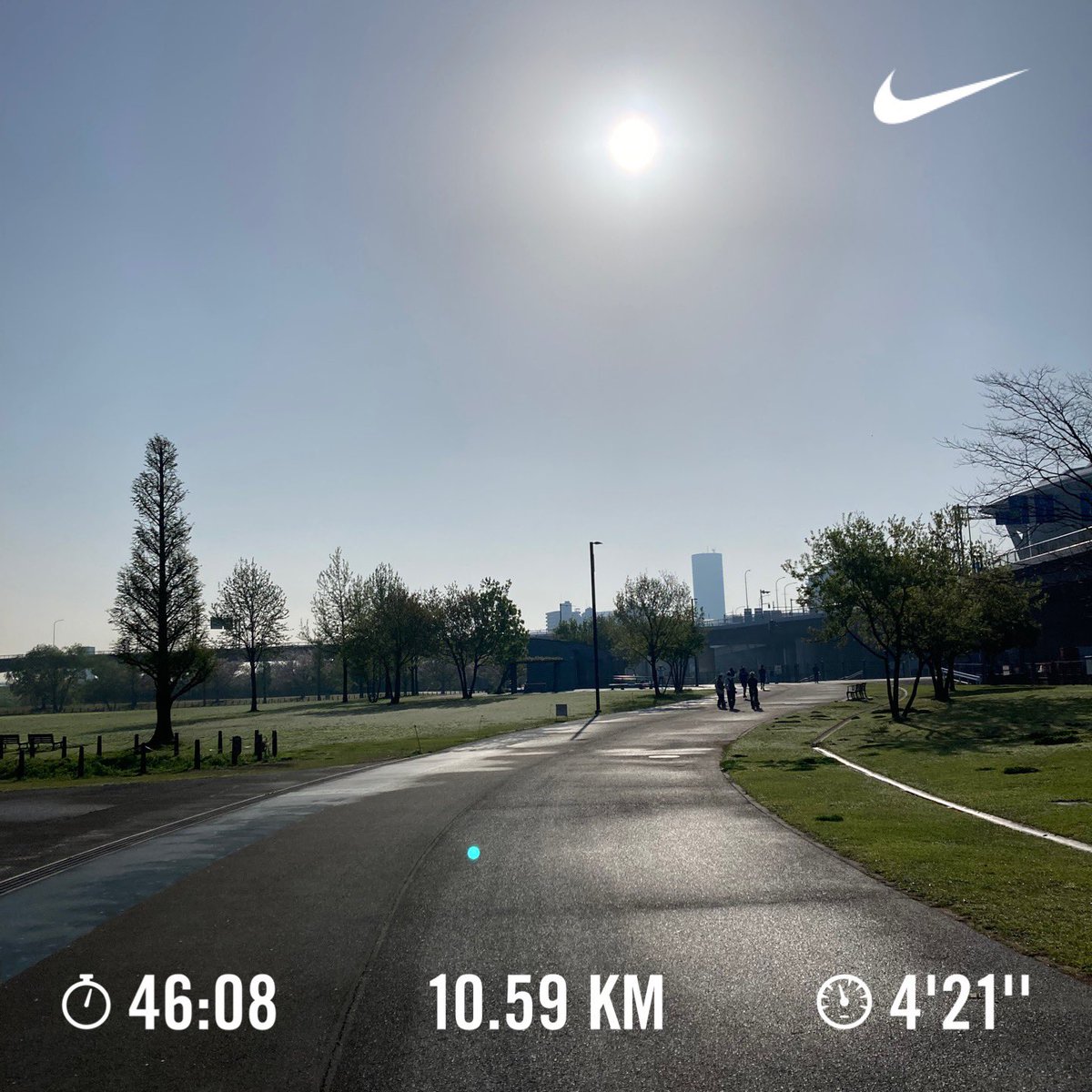 ギンモモ2 tweet media