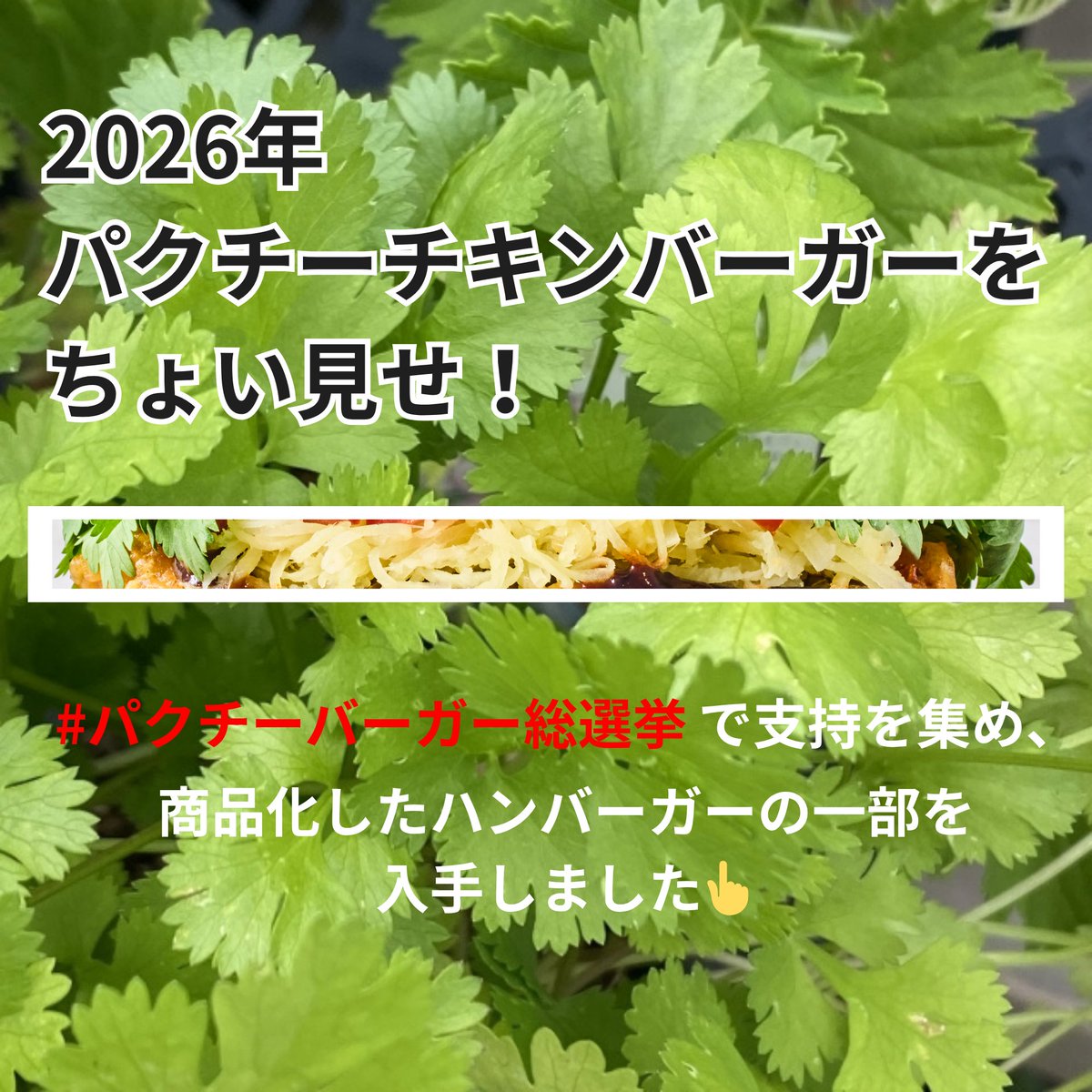 フレッシュネスバーガー【公式】 tweet media