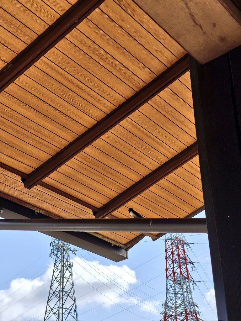 ∠🔑🌰魔性 tweet media