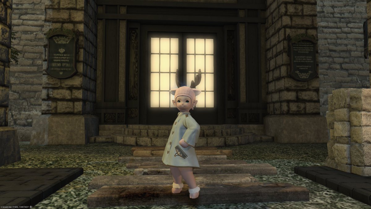 いえのねこ tweet media