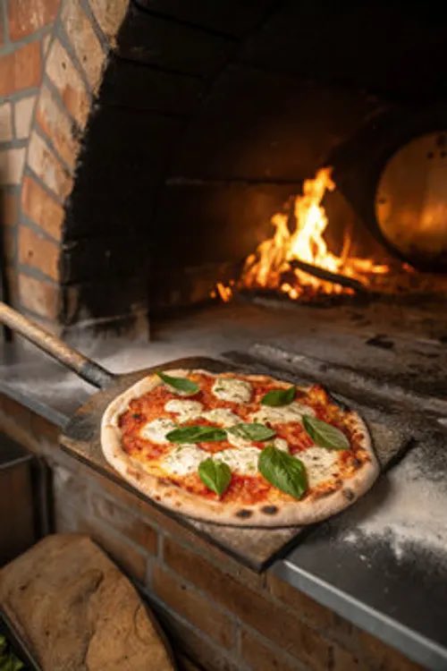 National Conservative tweet media