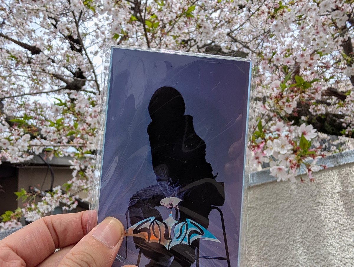 お耳が幸せ🌫🦇🌙🎶 tweet media