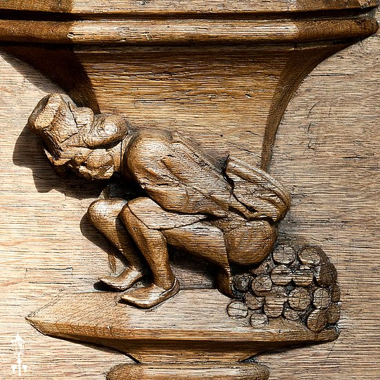 Vatanabeus tweet media