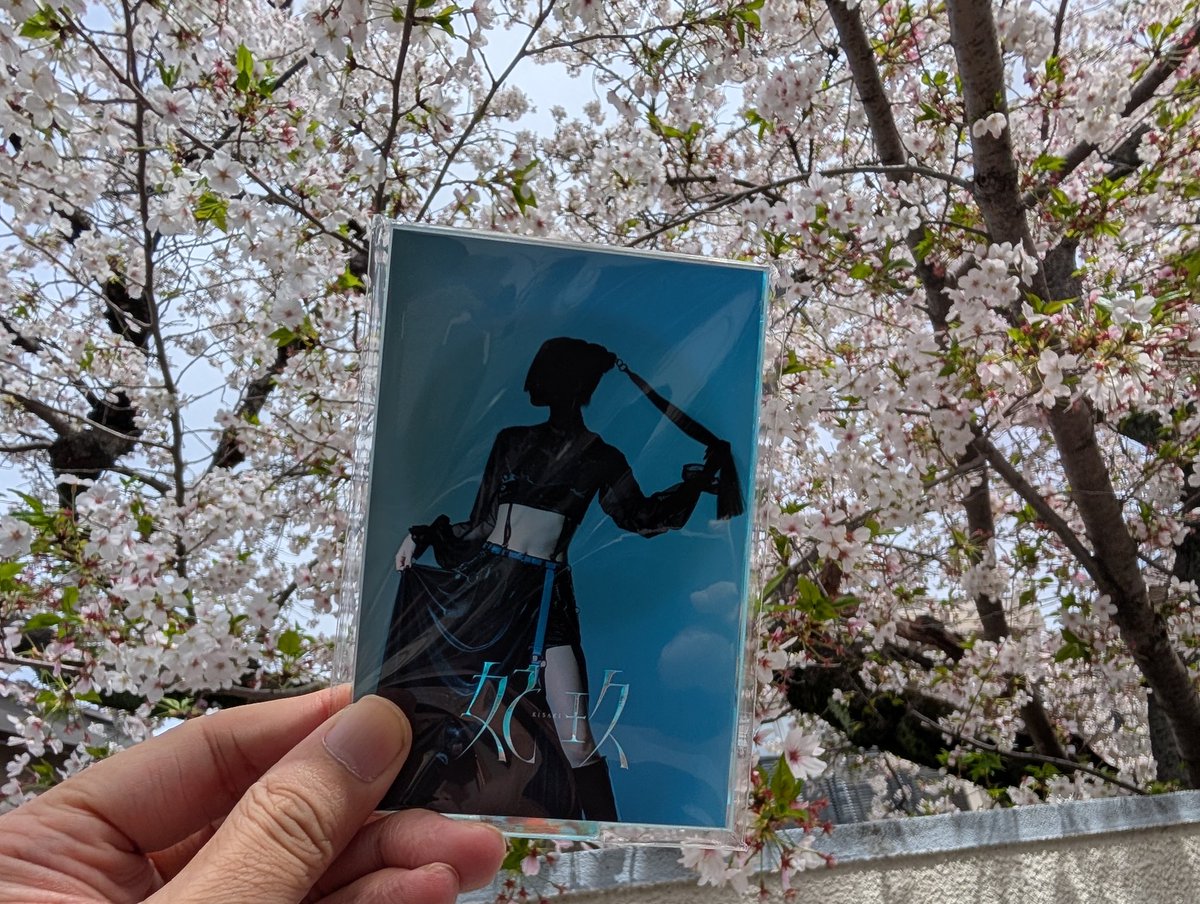 お耳が幸せ🌫🦇🌙🎶 tweet media