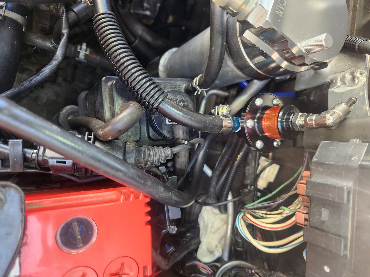 ぴんきゃろ tweet media