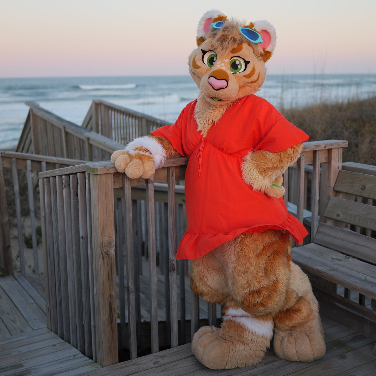 🦇Aqua🦇Frost🦇Wolf🦇 tweet media