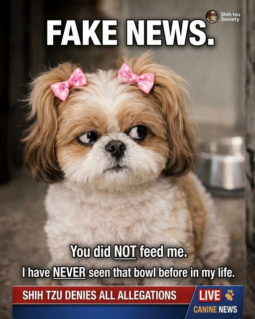 FatMexican'sMom tweet media