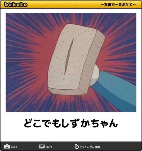 フロ猫 tweet media