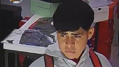 Kukardos siendo domados tweet media