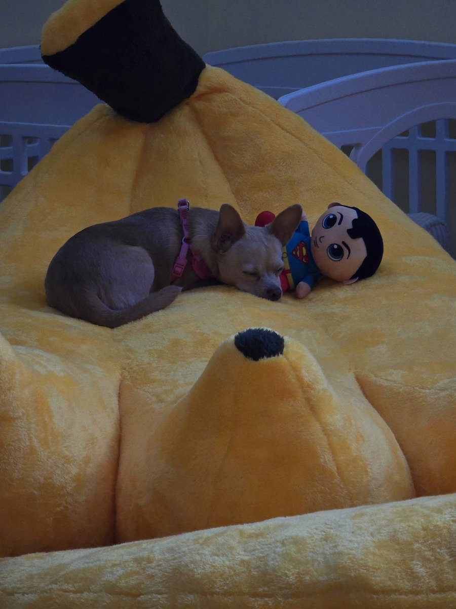 female jays fan 🇨🇦 tweet media