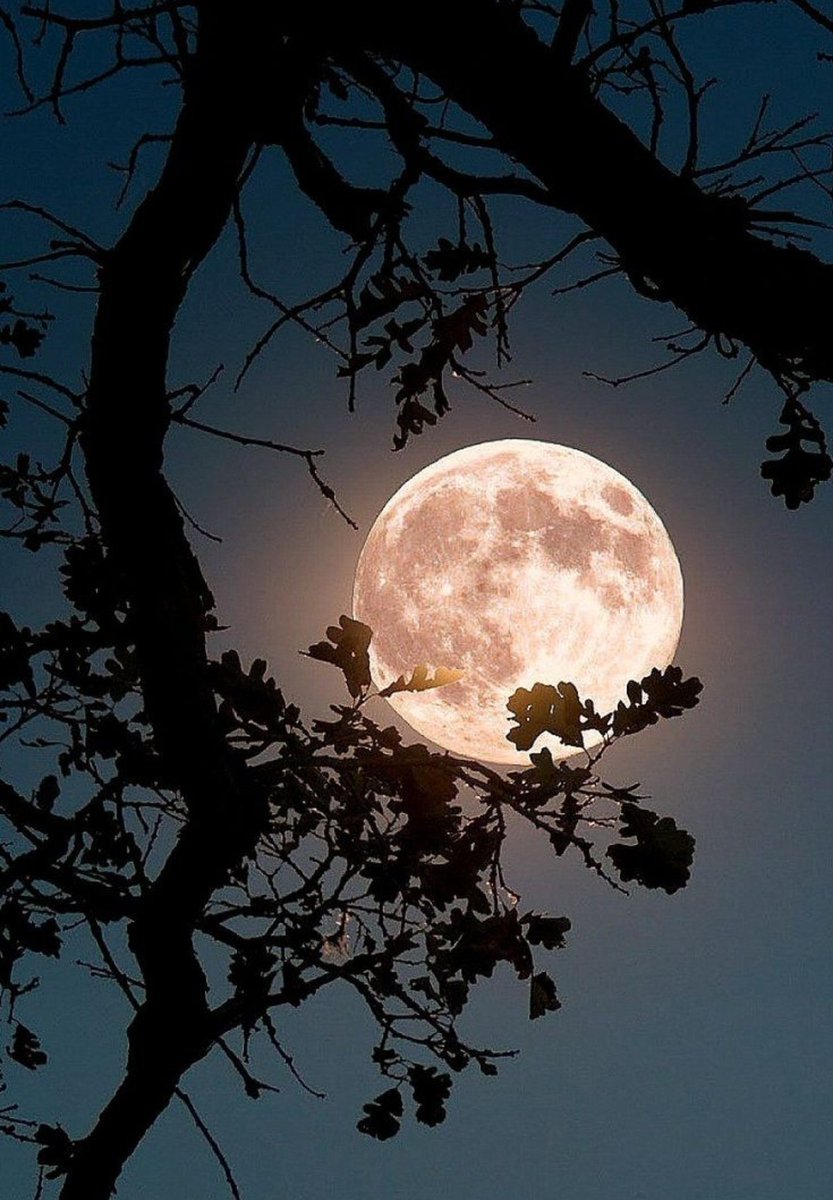 josedavid_grx's tweet image. "En medio del caos descubri que había, dentro de mí, una calma invencible.. No importa lo duro que el mundo empuja contra mi: en mi interior hay algo más fuerte, algo mejor, empujando de vuelta".
&amp;gt;Albert Camus 

   #Reflexiones EnLaNoche ✍️🏻