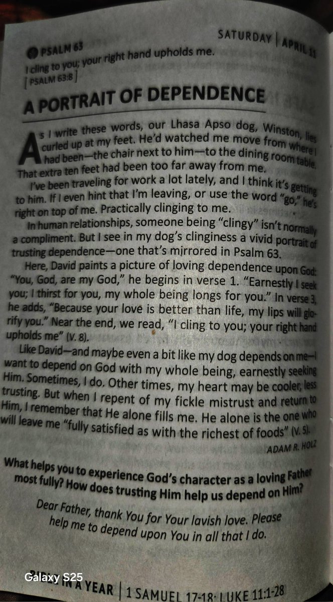 Paul R Diem tweet media