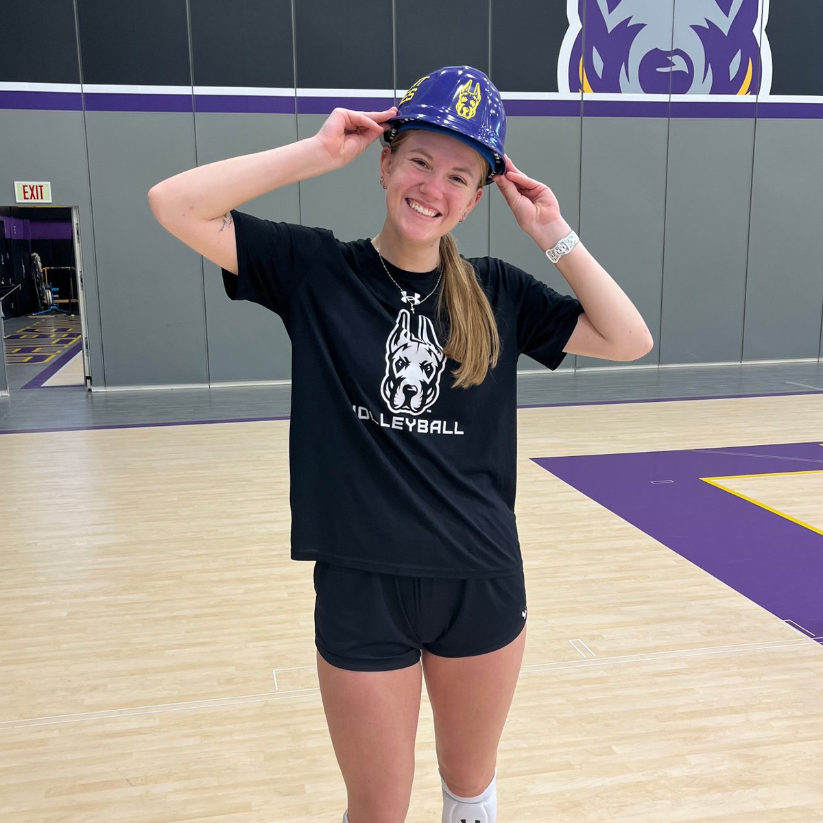 UAlbany Volleyball tweet media