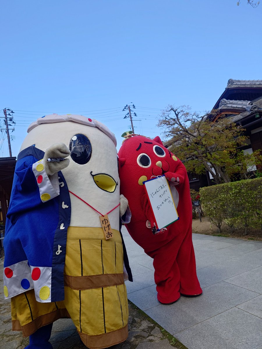 福島銘菓いもくり佐太郎【公式】🍠🌰（株式会社ダイオー） tweet media