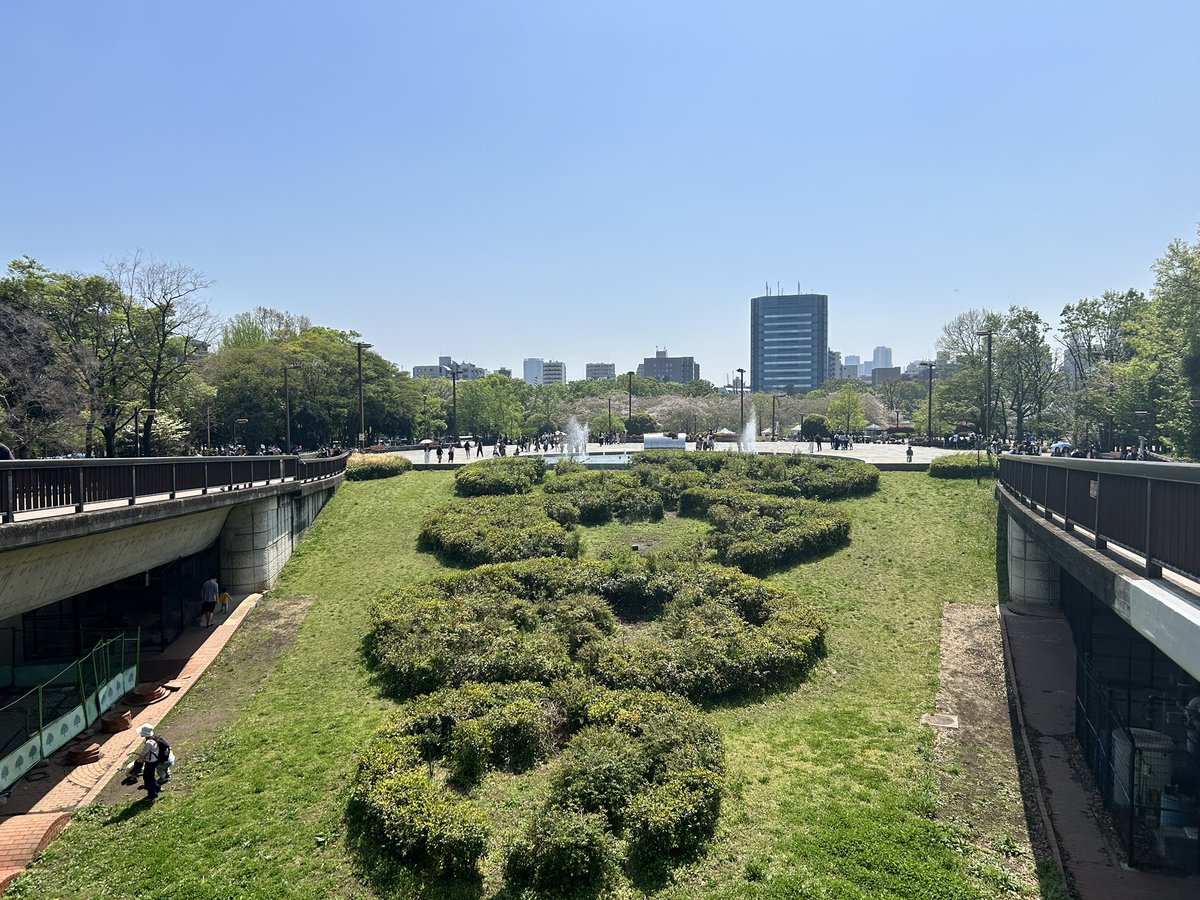 木場ぴくひこ tweet media