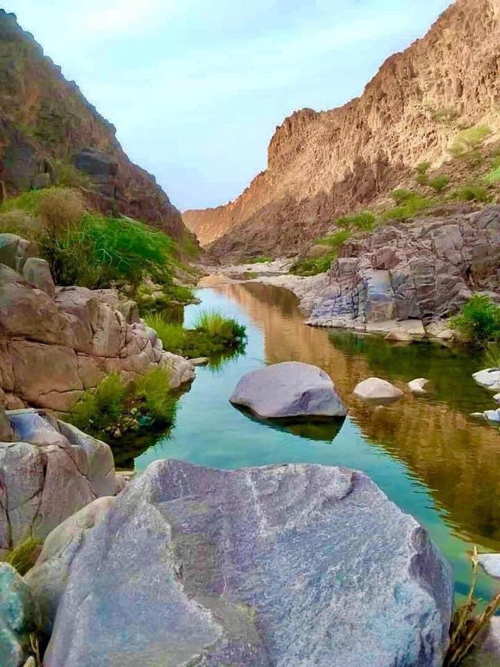 iShabwa's tweet photo. صباح الخير من وادي الصعيد 🌱
#شبوة_العظيمة https://t.co/XKTTzpS1dG