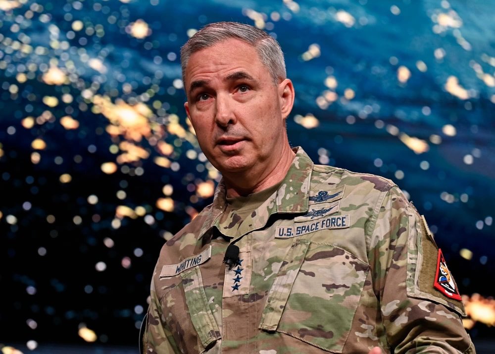 Red Panda Koala tweet media