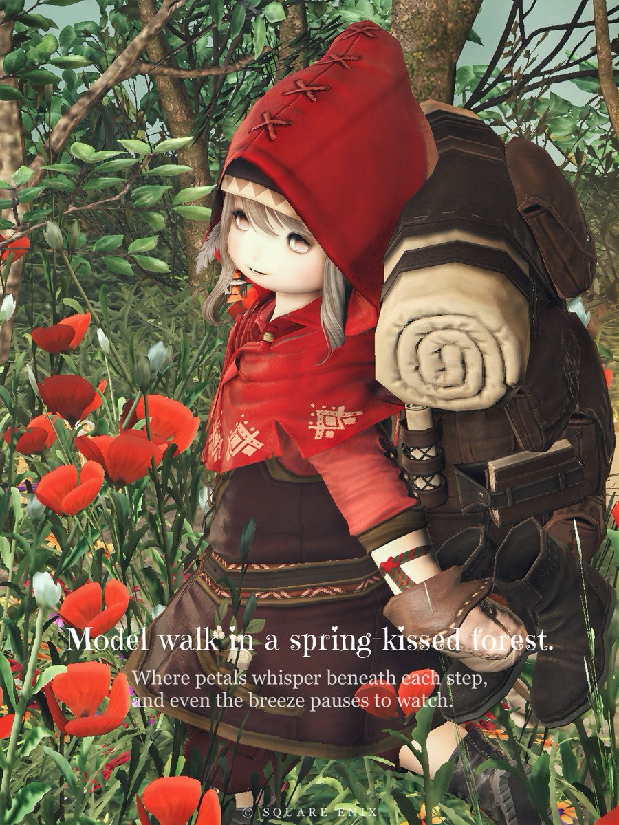 𝖒＊𝖒🐾 tweet media