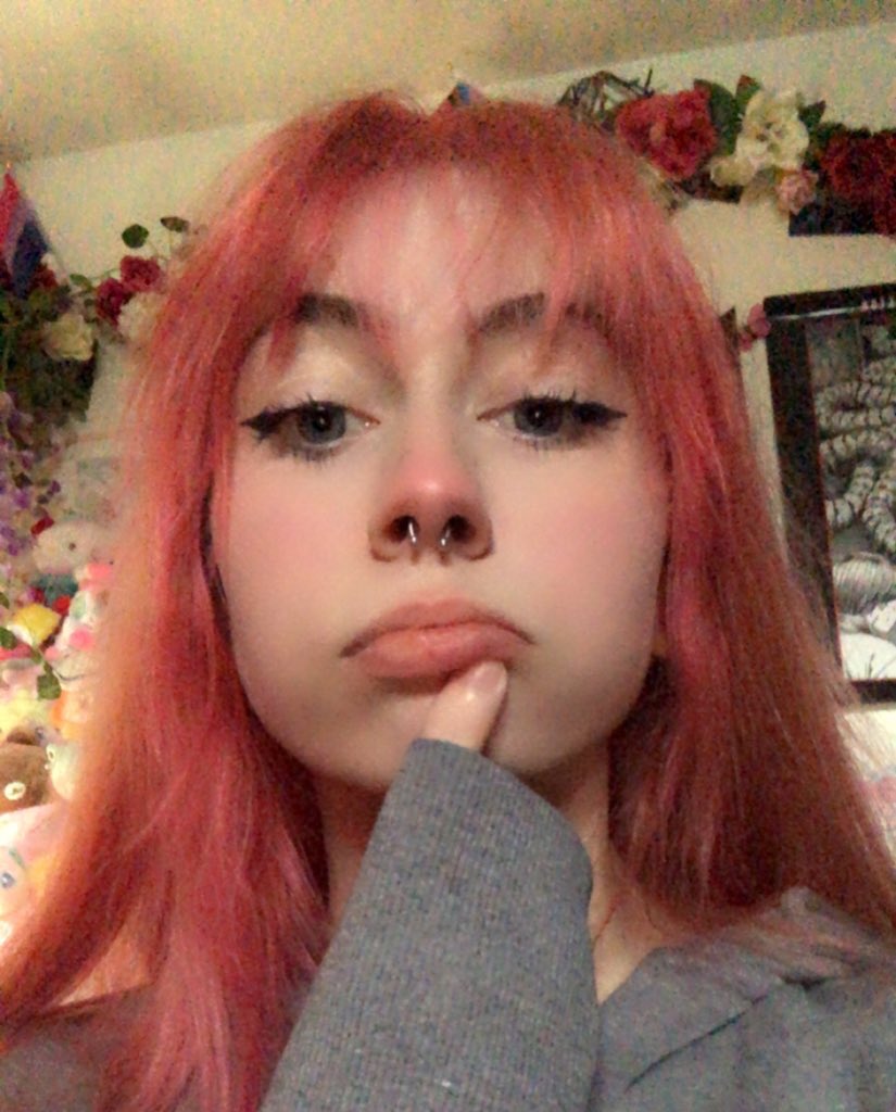 kitty / 猫ちゃん tweet media