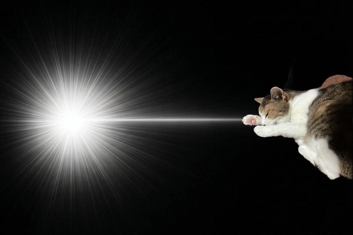 blargo_cat's tweet photo. どどん波
#InspirationCat https://t.co/at6ShXRGrJ