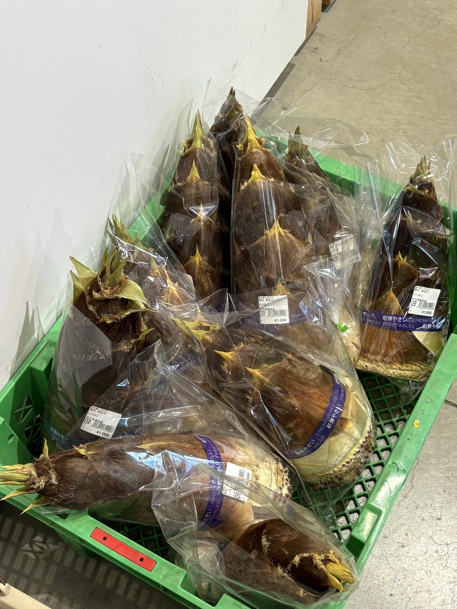 @う〜ら〜／毎日1%改善する人 tweet media