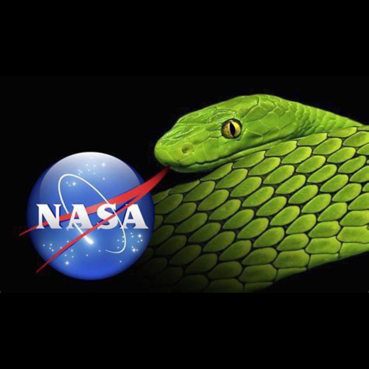 Morpheus tweet media