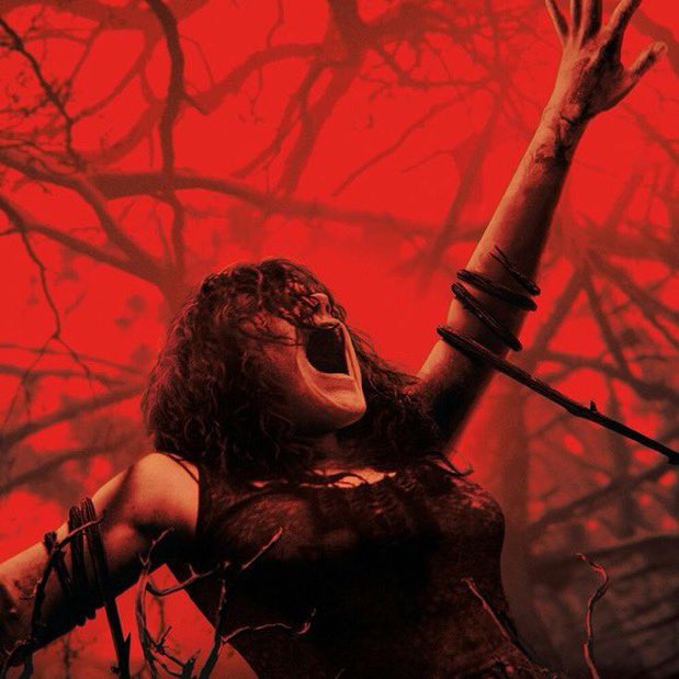 The Hollywood Handle tweet media