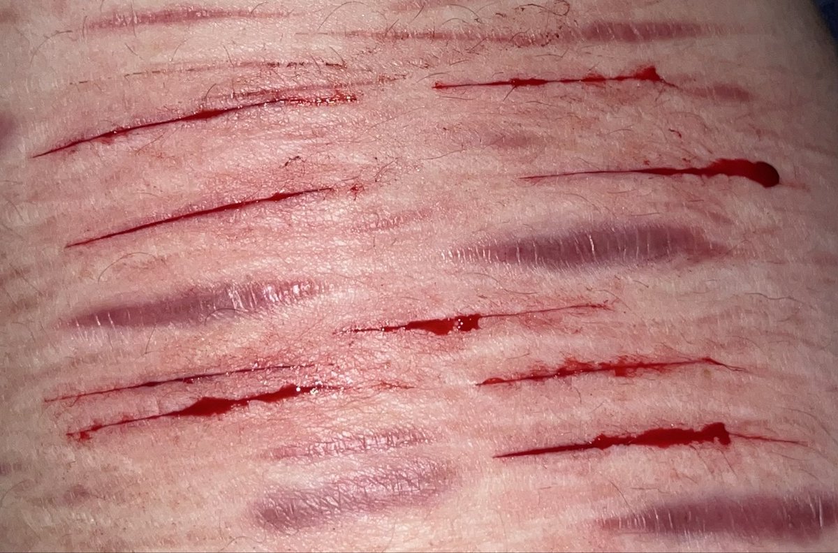 oliver ☁️🌈 shtwt tweet media