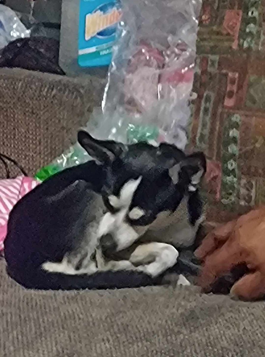 Iztacalco Noticias tweet media