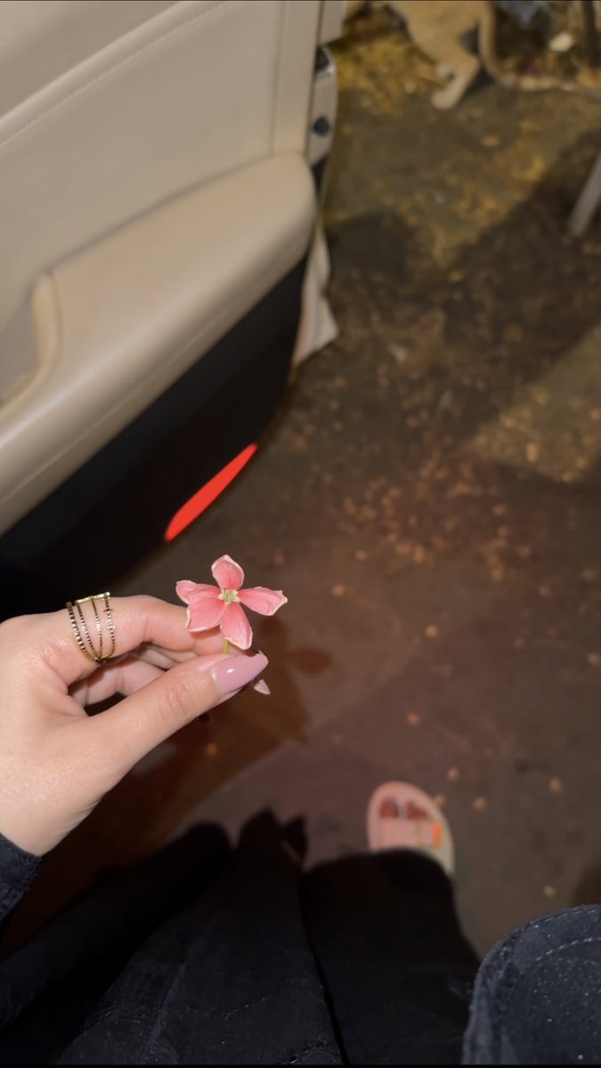 ‏𓆩س𓆪 ‏ ‏ tweet media