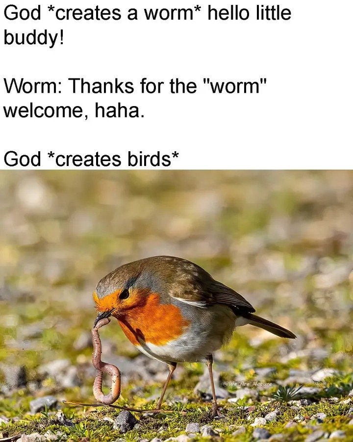 Original Nobody! DRomulus tweet media