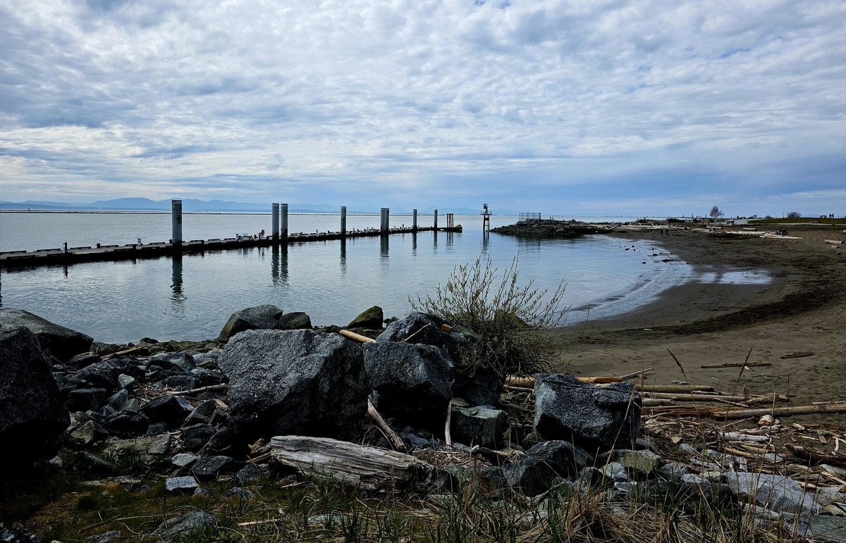 Lady Di 🇨🇦🇺🇦💙💛 tweet media