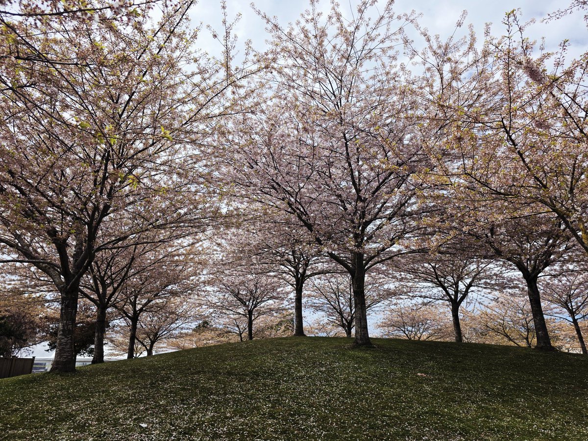 Lady Di 🇨🇦🇺🇦💙💛 tweet media