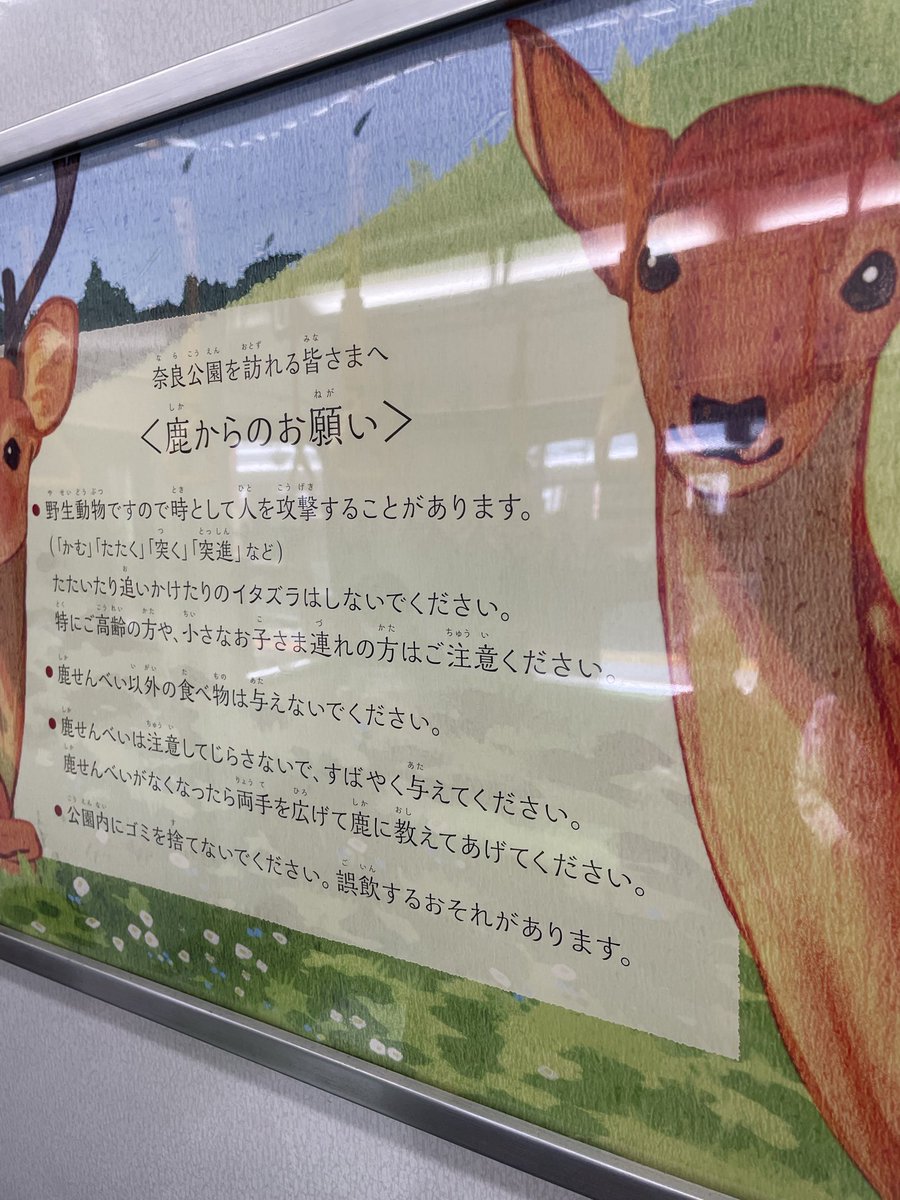 にこにこ tweet media