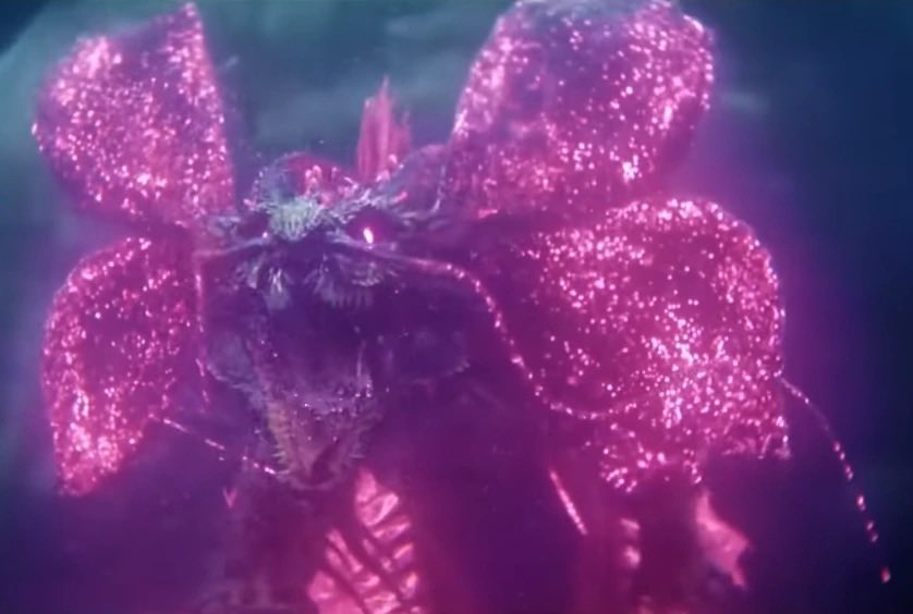 Apollo Island tweet media