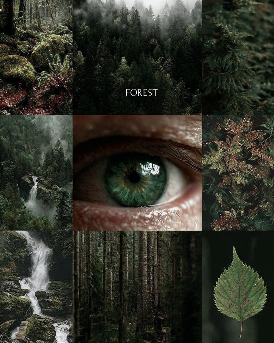 𝘢𝘦𝘴𝘵𝘩𝘦𝘵𝘪𝘤 𝘷𝘪𝘴𝘶𝘢𝘭𝘴 •°. *࿐ tweet media