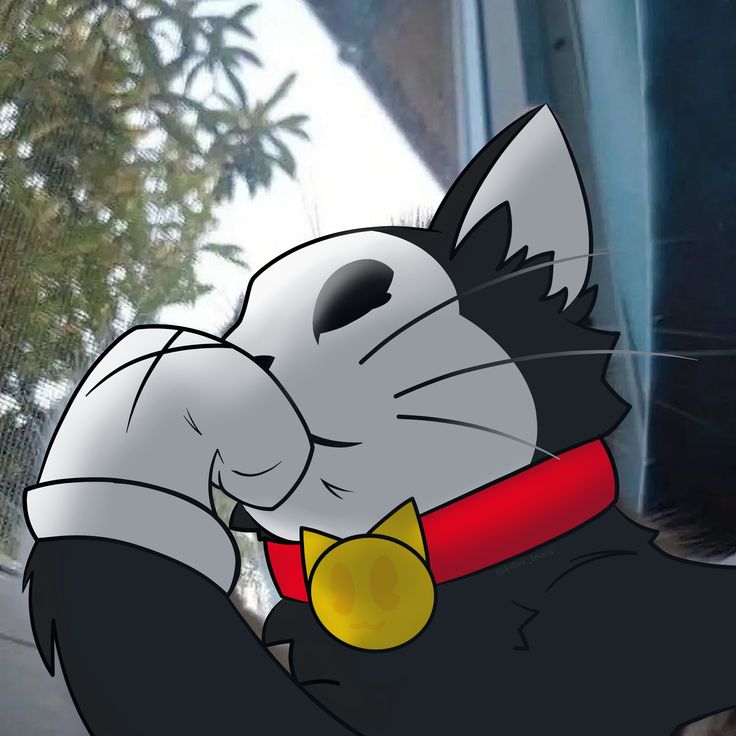 Ⓒⓗⓡⓞⓜⓐⓚⓞⓟⓘⓐ tweet media