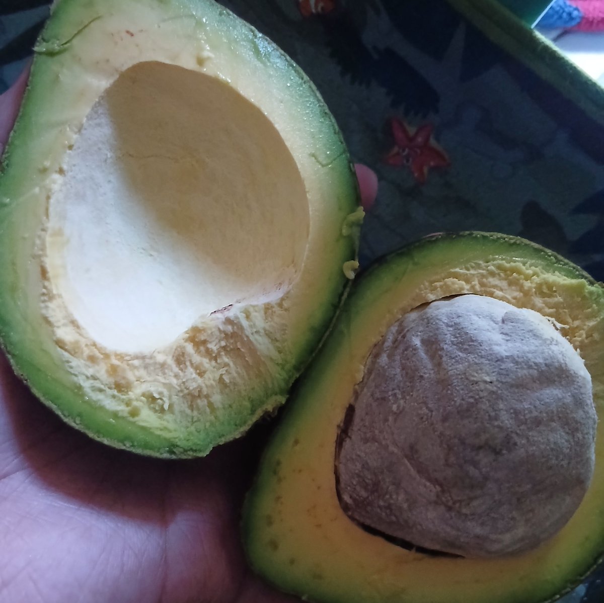 yië ݁ ˖Ი𐑼⋆ tweet media