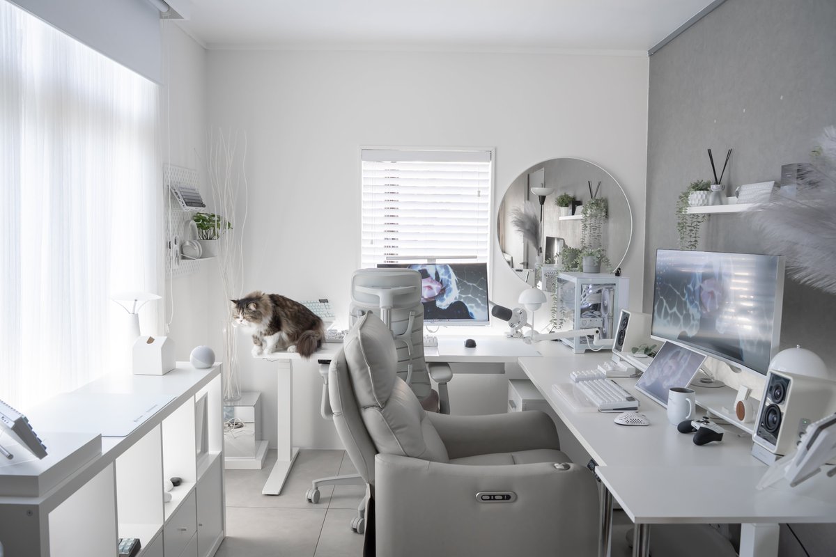 わいせん tweet media