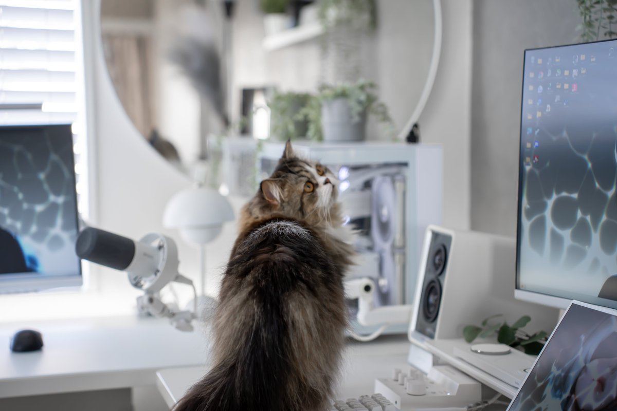 わいせん tweet media