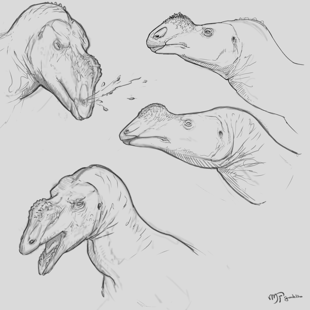 Paleolee tweet media