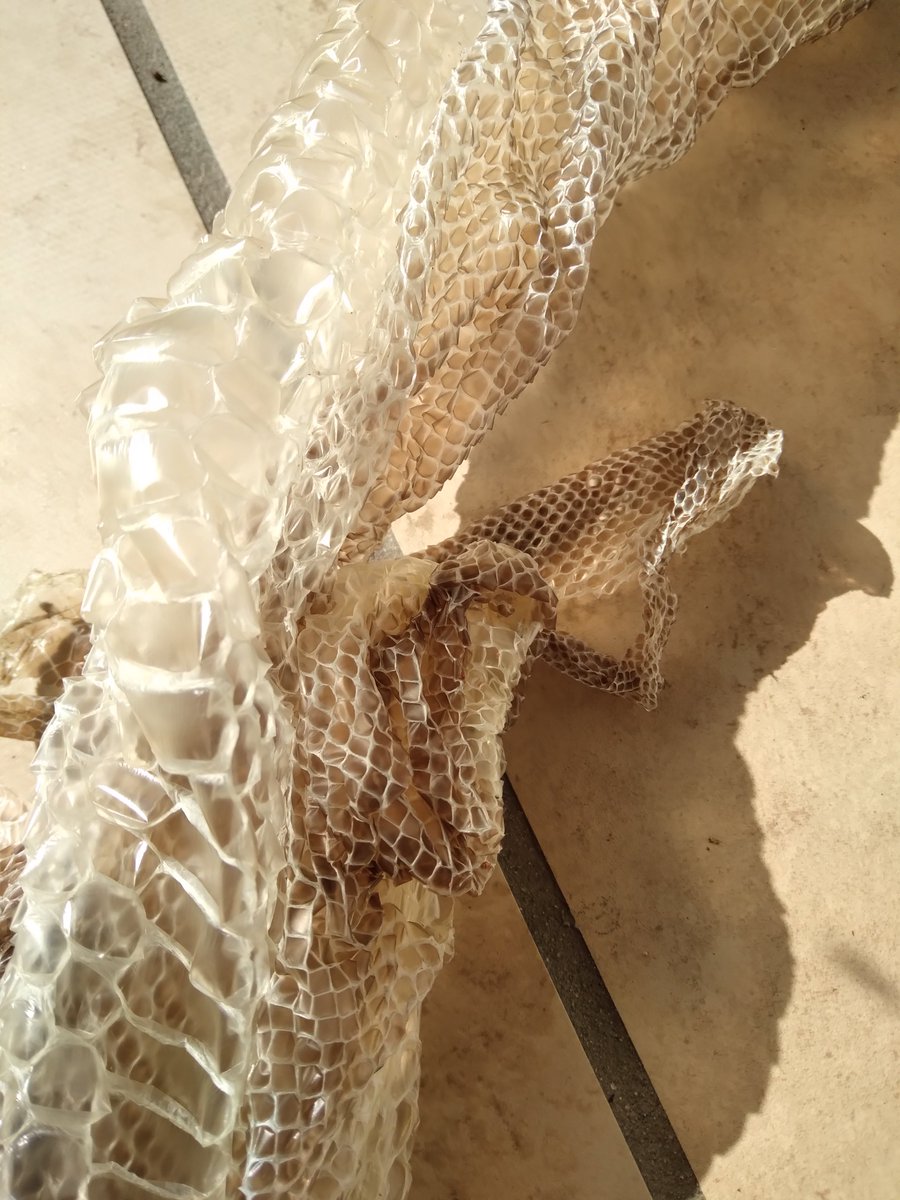 AngelaDeRiso-Artist tweet media