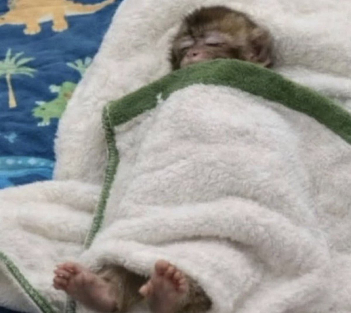 “Si duermes por la tarde, no dormirás por la noche”

Yo en la tarde y en la noche: