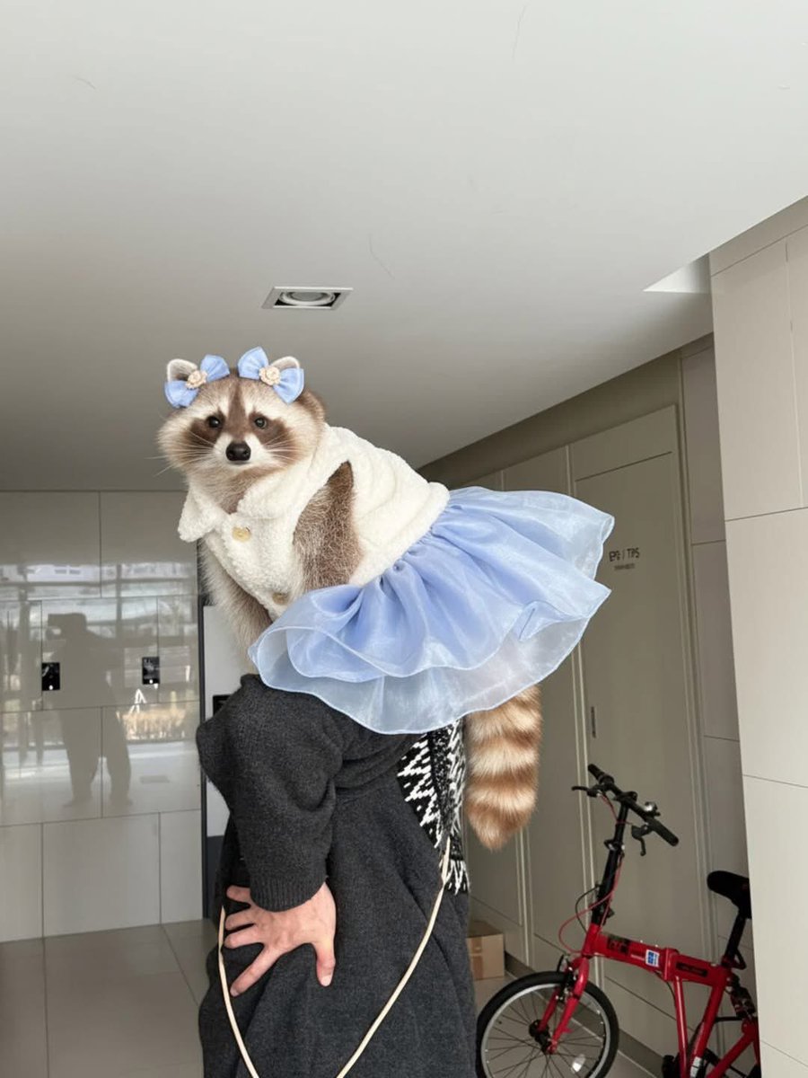 ぜんぢ tweet media